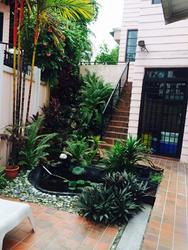 Highgate (D21), Terrace #70802951